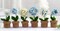 Blue and White Flowers. Potted Flower Amigurumi DIY Crochet Kit Wizardi F07N8-M20